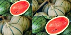 Melons / Pastèques